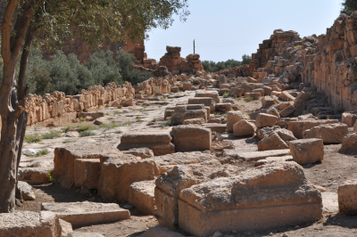 Dara Antik Kenti- Saray Yolu ve Çarşı (Agora), Fotoğraf: Baki ATEŞ