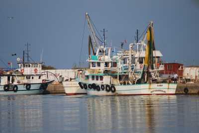 Balıkçı barınağı (Fotoğraf: Samsun İl Kültür ve Turizm Müdürlüğü arşivi)