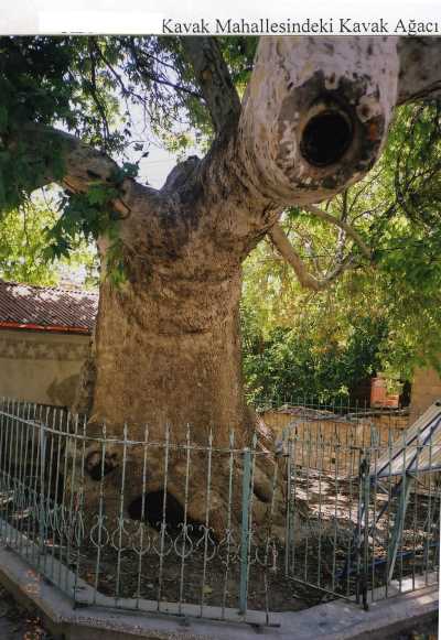 Denizli İl Kültür ve Turizm Müdürlüğü