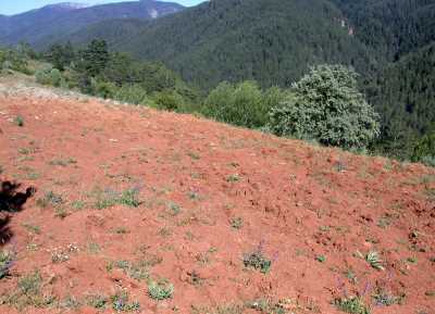 SEKİTEPE BİZANS NEKROPOLÜ - Müze Müdürlüğü Arşivi - 2007