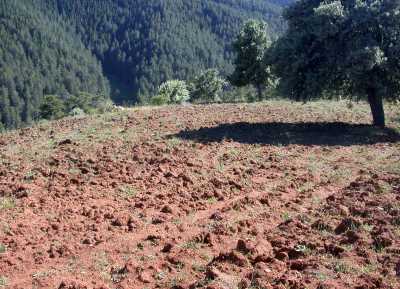 SEKİTEPE BİZANS NEKROPOLÜ - Müze Müdürlüğü Arşivi - 2007