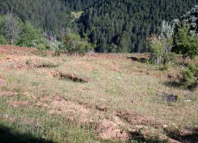 SEKİTEPE BİZANS NEKROPOLÜ - Müze Müdürlüğü Arşivi - 2007