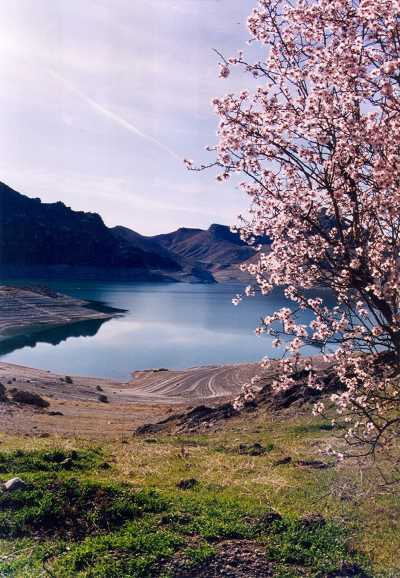 Keban Baraj Gölü, Bahar, Pertek