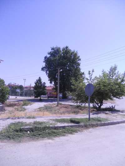 Denizli İl Kültür ve Turizm Müdürlüğü