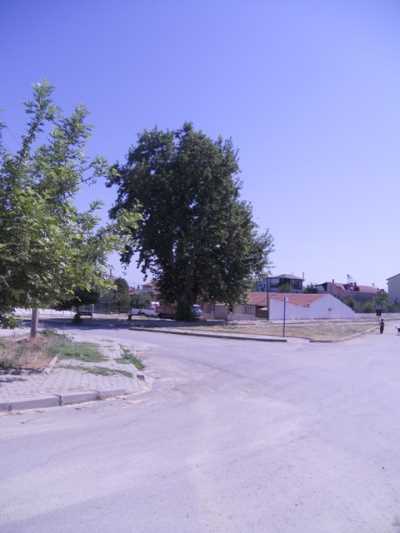 Denizli İl Kültür ve Turizm Müdürlüğü