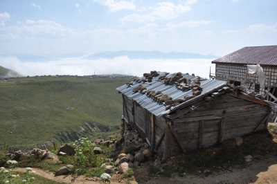 Büyük Yayla Kaynak: Rize İl Kültür ve Turizm Müdürlüğü Fotoğraf Arşivi