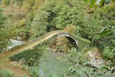 Seslikaya Köyü Köprüsü Kaynak: Rize İl Kültür ve Turizm Müdürlüğü Fotoğraf Arşivi