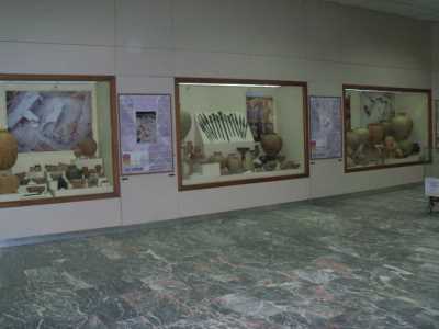 Malatya Müzesi (Fotoğraf: Malatya Müzesi Arşivi)