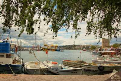Sinop Limanı