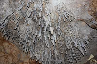 Sırtlanini Mağarası-Karacasu