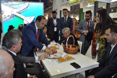 Travel Turkey İzmir Fuarı 2016