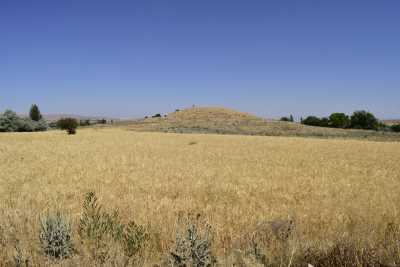 Uzuntarla (Erzürük) Höyük