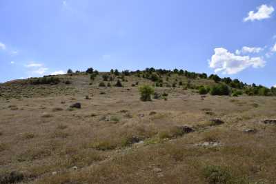 Alıçlı Höyük