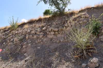 Pirinçci Höyüğü