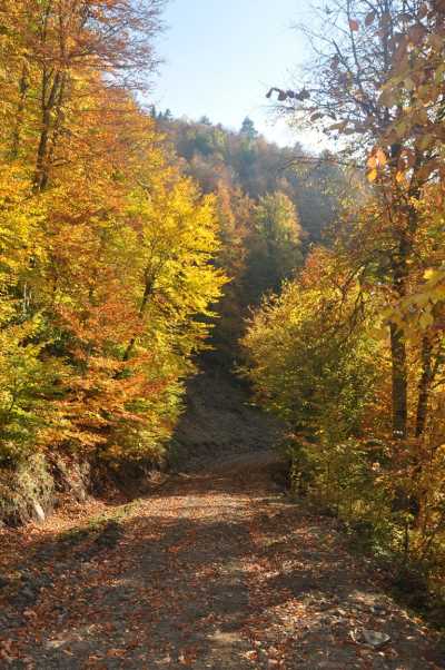 Yılançatı Kanyonu