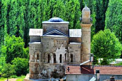 Fisandon Cami