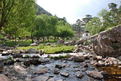 Başpınar Tabiat Parkı