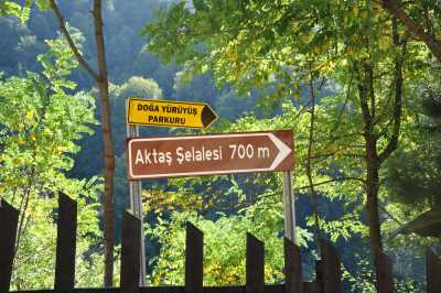 Aktaş Şelalesi