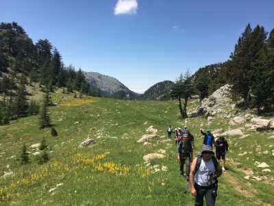 Doğa Yürüyüşü (Trekking)