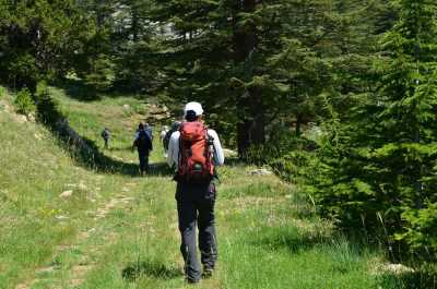Doğa Yürüyüşü (Trekking)