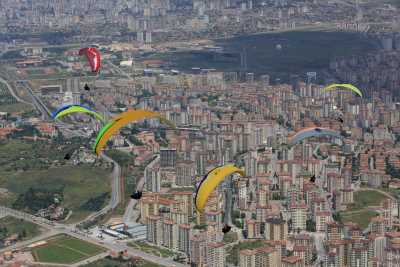 Ali Dağı